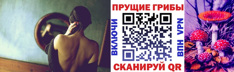 Псилоцибиновые грибы Psilocybe  Павловская 